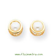 14K Gold Bezel Cultured Pearl Stud Earrings