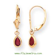 14K Gold Ruby Earrings - July
