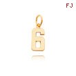 14K Gold Small Polished Number 6 Charm