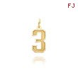 14K Gold Small Satin Number 3 Charm