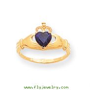 14K White Gold CZ February Birthstone Claddagh Heart Ring