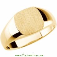 14K White Gold Gents Solid Signet Ring With Brush Finished Top