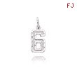 14K White Gold Small Diamond-Cut Number 6 Charm