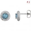14kt White Aquamarine Pair Aquamarine and 3/8 CTW Diamond Earrings