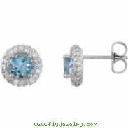 14kt White Aquamarine Pair Aquamarine and 3/8 CTW Diamond Earrings