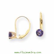 14k 5mm Amethyst leverback earring