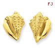 14K Gold Conch Shell Earrings