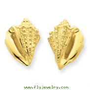 14K Gold Conch Shell Earrings