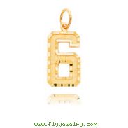 14K Gold Large Diamond-Cut Number 6 Charm