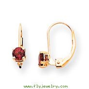14K Gold Round June Rhodolite Leverback Earrings