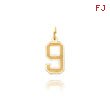14K Gold Small Satin Number 9 Charm