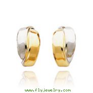 14K Gold Two-Tone Polished Post Earrings