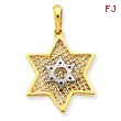 14K Two-Tone Gold  Solid Polished Meshed Star of David Charm