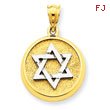 14K Two-Tone Gold Solid Satin Finish Flat Back Star of David Disc Charm