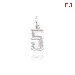 14K White Gold Small Diamond-Cut Number 5 Charm