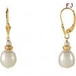 EARRING NONE VARIOUS VARIOUS PEARL NONE Complete with Stone 14kt Yellow Polished FRSHWTR CULTURED PR